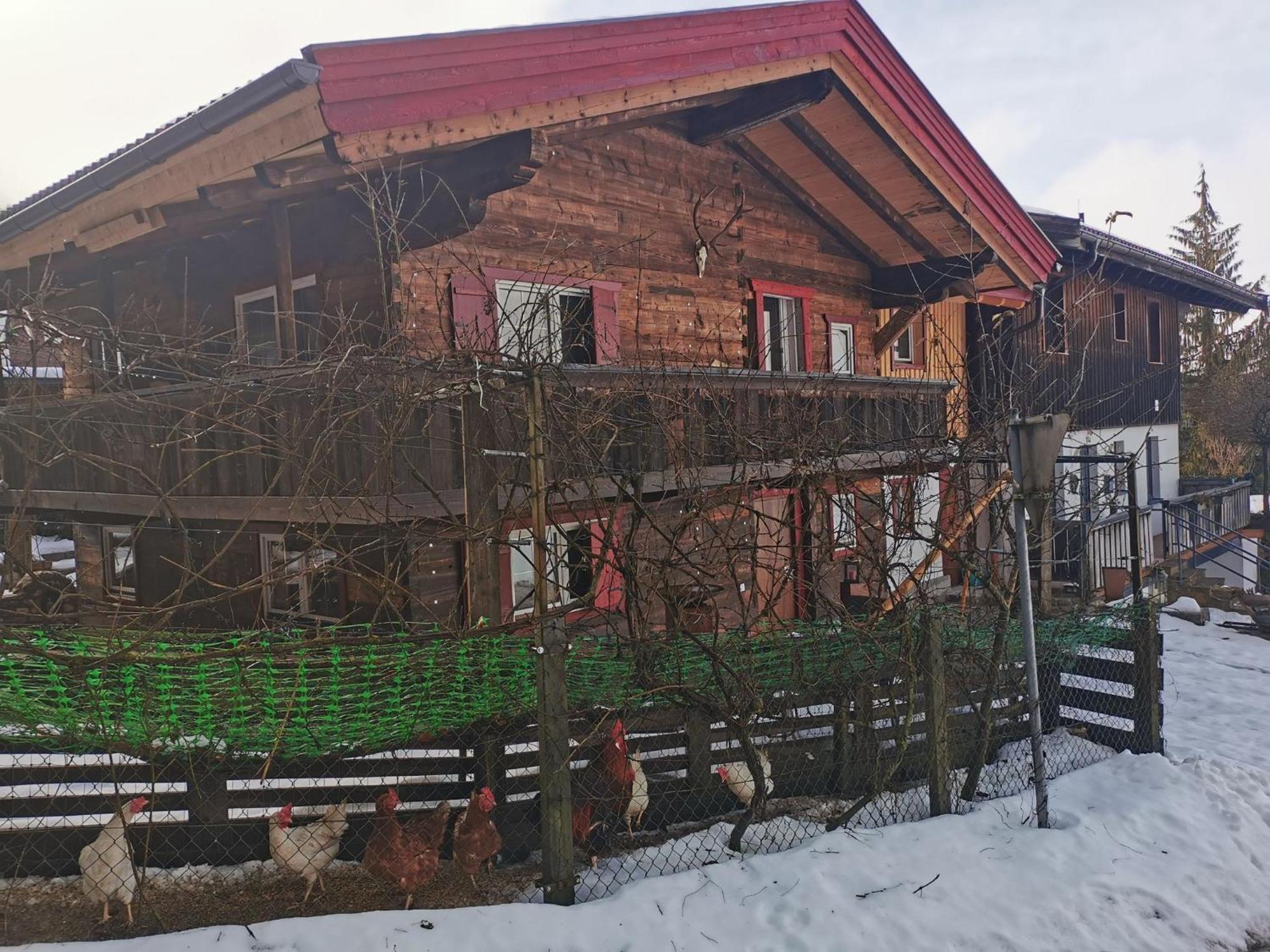 Kaiserhaus Harald Astner Ebbs Studio 2 מראה חיצוני תמונה